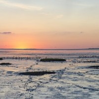 Kurzurlaub in Holland Familie Wattenmeer