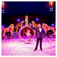 Ticket Zirkus Charles Knie günstiger kaufen